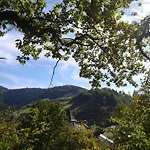 Hirsch Bad Peterstal-Griesbach
