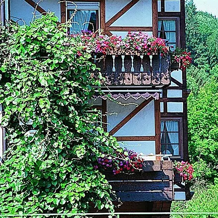 Hirsch Bad Peterstal-Griesbach
