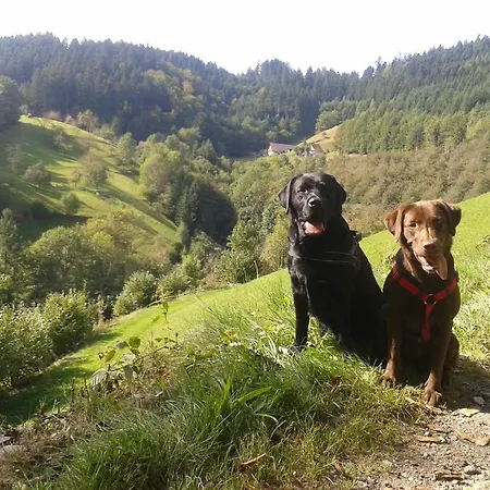 Hotel Hirsch Bad Peterstal-Griesbach