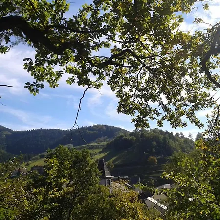 Hirsch Bad Peterstal-Griesbach