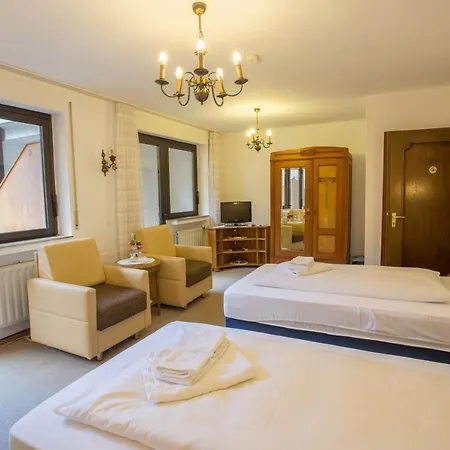 Hirsch Hotel 3*