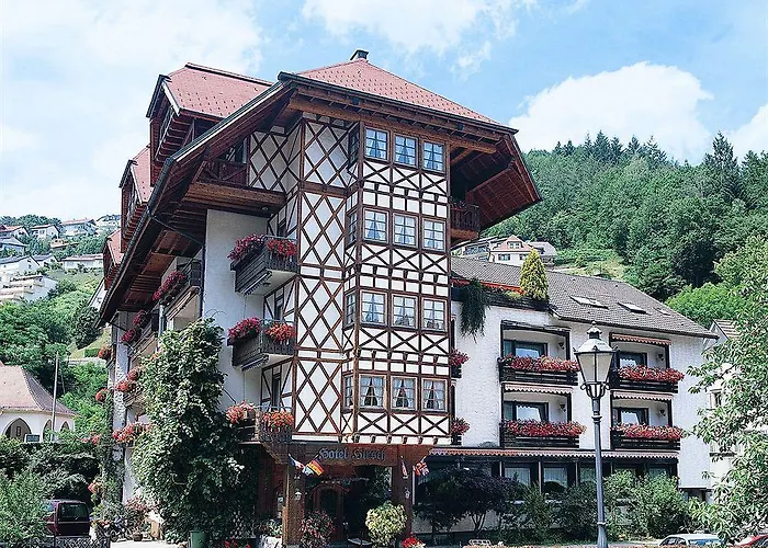 Hirsch Bad Peterstal-Griesbach