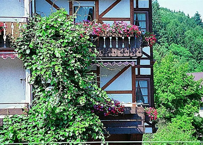 Hirsch Bad Peterstal-Griesbach