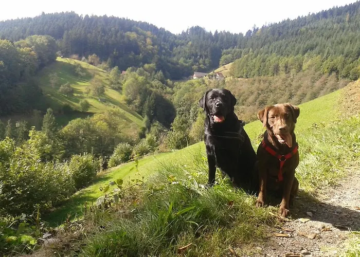 Hotel Hirsch Bad Peterstal-Griesbach