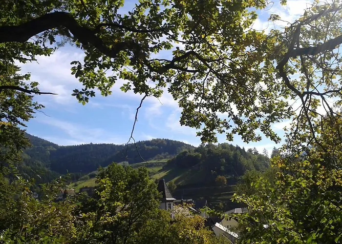 Hirsch Bad Peterstal-Griesbach